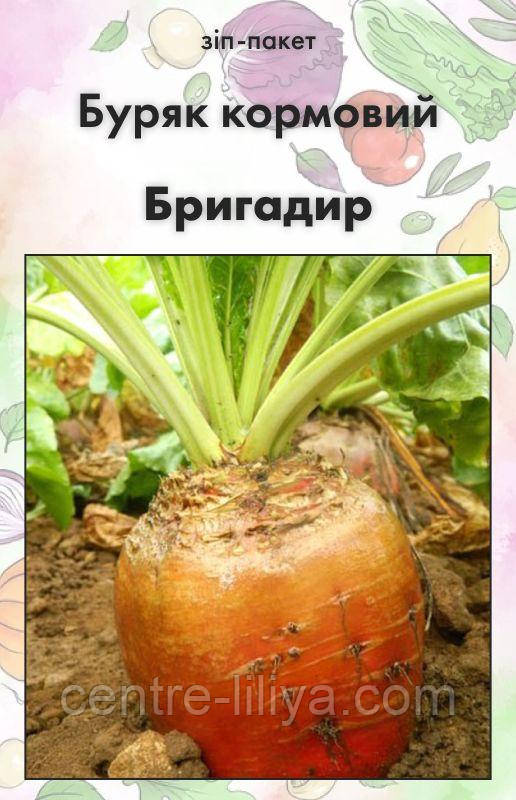 Насіння Буряк кормовий Бригадир (Нідерланди), 100 г