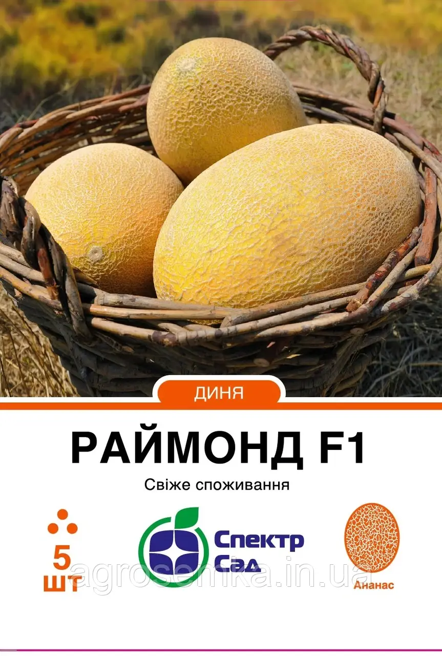 Диня Раймонд F1, 5 шт Спектр сад / Hazera