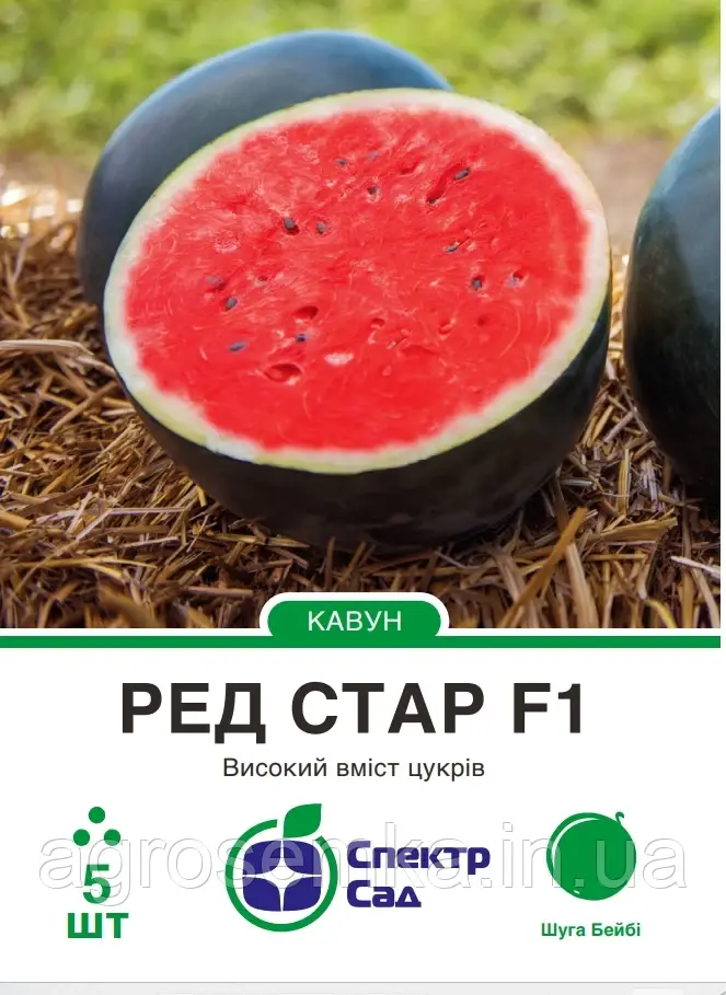 Кавун Ред Стар F1, 5 шт Спектр сад / Nunhems