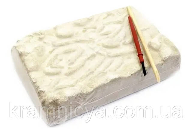 Раскопки динозавров Dino Excavation (DEX-01-01,02,03,04,05,06)