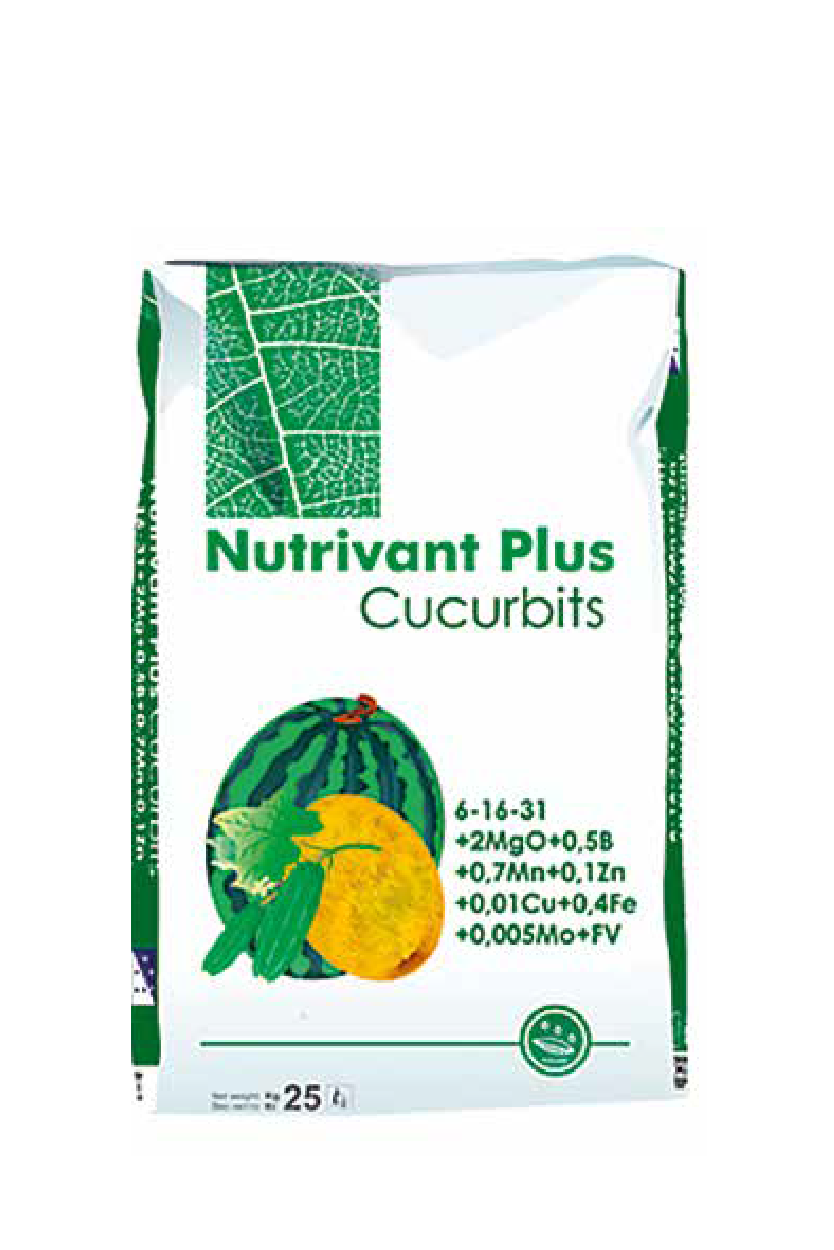 Добриво Нутрівант плюс Гарбузовий (6-16-31) 25 кг, фото 1