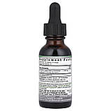 Екстракт Чорного горіха для дітей 2000 мг 30 мл від глистів та паразитів Nature's Answer USA, фото 2