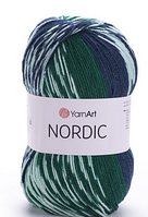 Пряжа Nordic Yarnart-670