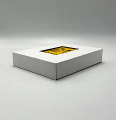 Контрлер Sick FX3-CPU000000 1043783