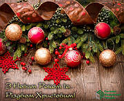 Графік роботи інтернет-магазину Системи маркування товарів на новорічні свята 2025 р