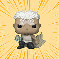 Funko Pop • Fullmetal Alchemist: Brotherhood • Scar • 1179