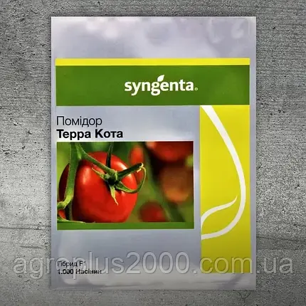 Насіння Томат детермінантний Терра Котта F1, 100 насінин Syngenta, фото 1