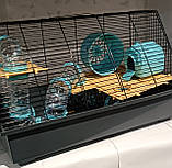 Клітка Лорі щурик Люкс 570x300x340, фото 3