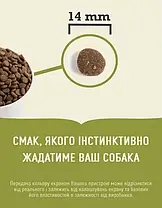 Сухий корм для собак ACANA Ranchlands Recipe Dog з червоним м'ясом і рибою 6 кг, фото 4