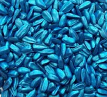 Протруйники