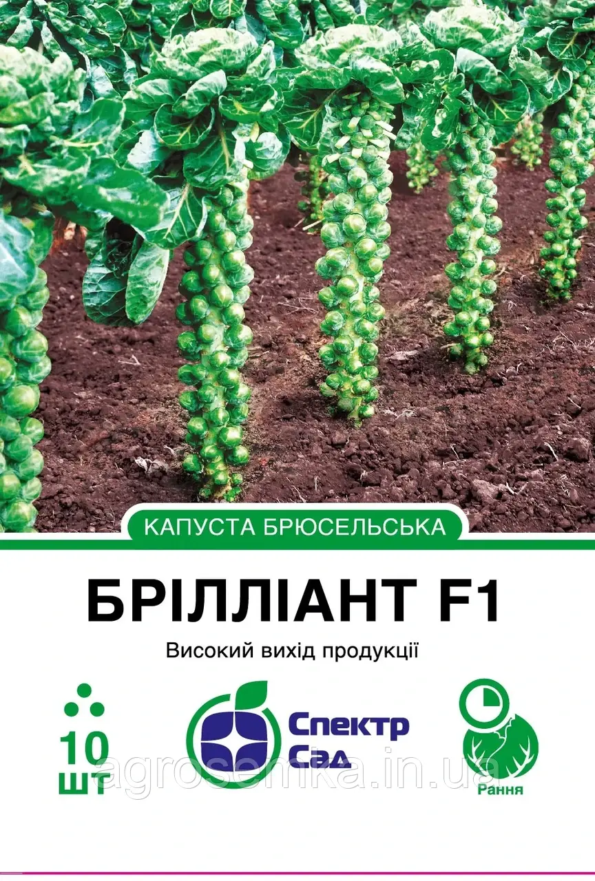 Брюссельська капуста Брілліант F1, 10 шт Спектр сад / Hazera, фото 1