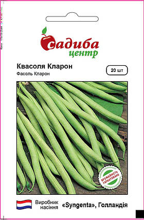 Насіння квасолі Кларон (Syngenta/САДИБА ЦЕНТР), 20 шт — середньопізня, спаржева, фото 2