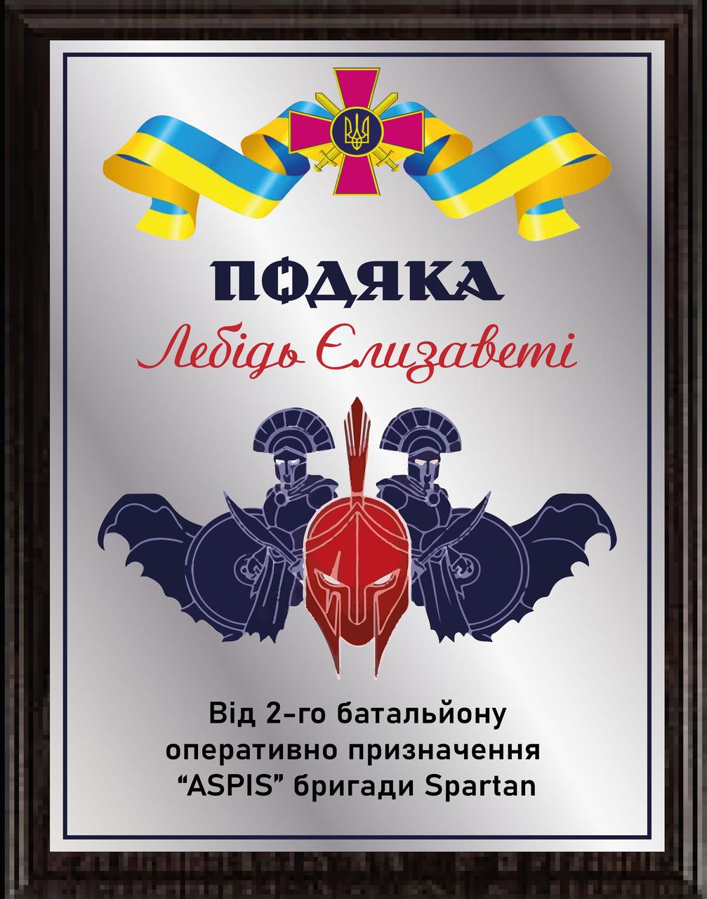 Плакетка подяки від 2 батальону оперативного призначення ASPIS бригади Spartan