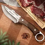 Туристичний, похідний ніж із неіржавкої сталі 5Cr15MoV. Кований. Sharp Claw, фото 11