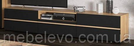 Тумба під телевізор Денвер ТВ2Д1Ш 415х2046х481мм ММеблі-Сервіс, фото 1