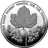 Набір монет 2 штуки НБУ 5 грн Ні куля, ні шабля та Ой у лузі червона калина, фото 6