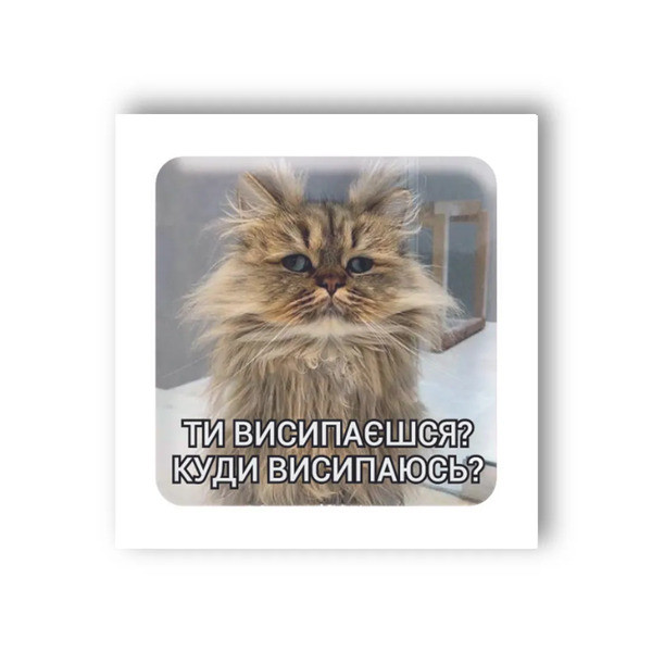 3D-стікер Сонний кіт, фото 1