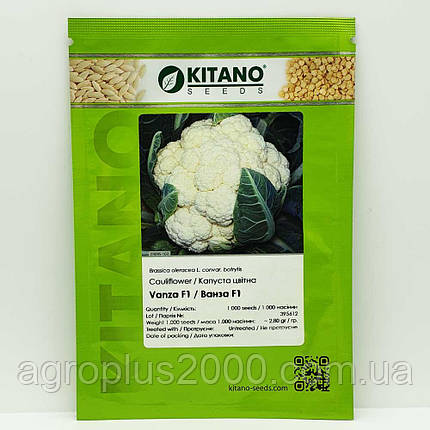 Насіння Капуста цвітна Ванза F1, 1000 насінин Kitano Seed, фото 1