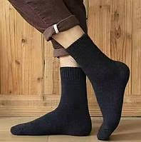 Чоловічі демісезонні шкарпетки (весна, осінь)