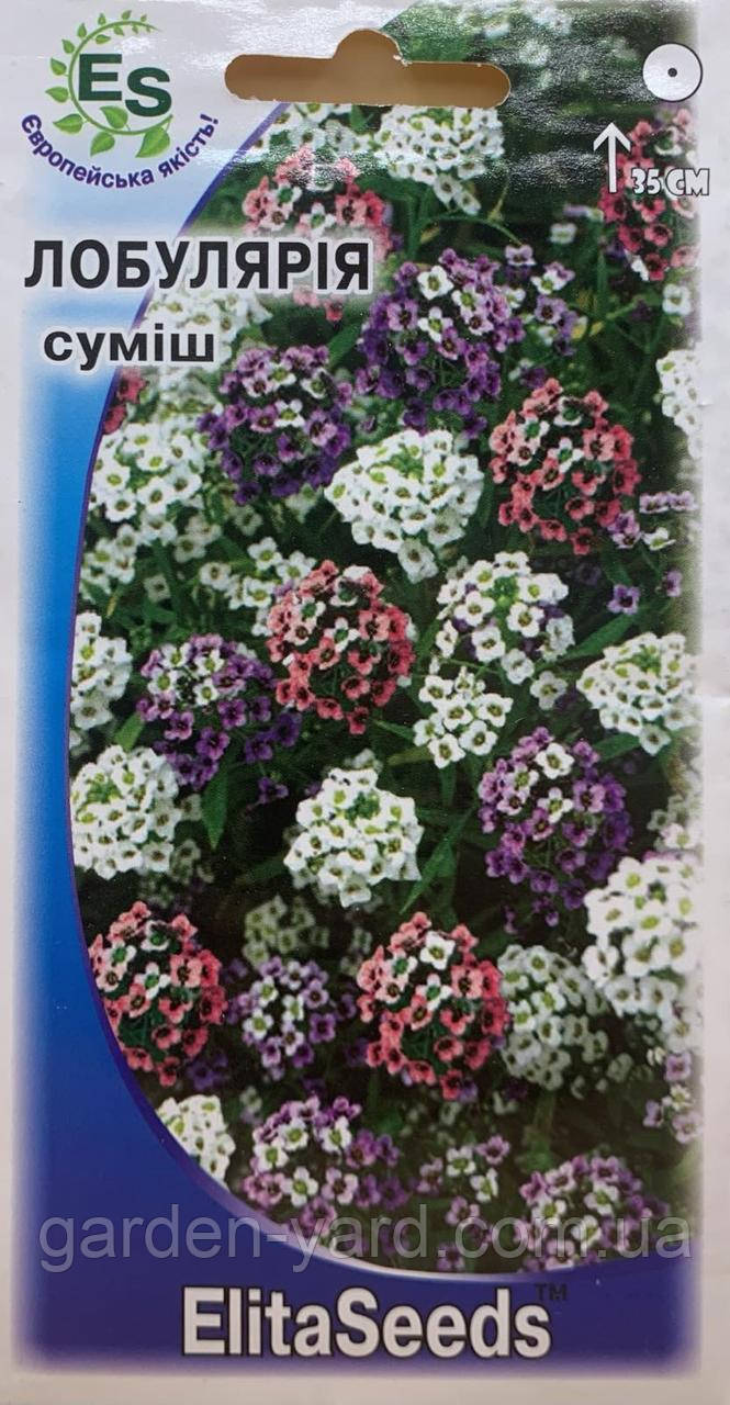 Насіння Лобулярія приморська суміш 0,2г. ElitaSeeds