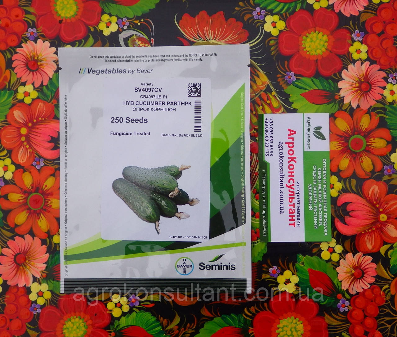 Насіння огірка СВ 4097 ЦВ F1/SV 4097 CV F1 (Seminis), 250 насінин — ультраранній (40-45 днів), партенокарпік