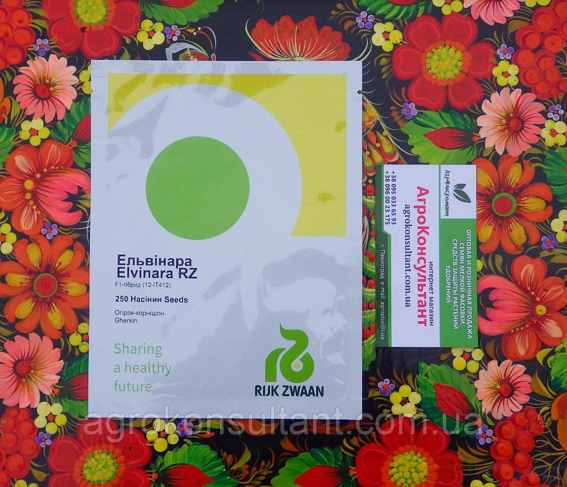 Насіння огірка Ельвінара F1 (Rijk Zwaan), 250 насінин — ранній (40-45 днів), партенокарпік, корнішон