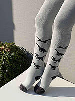Колготи махрові для хлопчика з малюнком динозавра Twinsocks