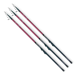 Вудилища болонські