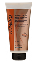 Відновлювальний шампунь для волосся з екстрактом вівса Brelil NUMERO 300мл.