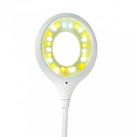LED Lamps