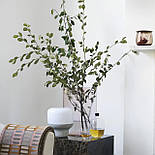 Графин для віскі на підставці Malt 1100 мл Nude Glass, фото 9