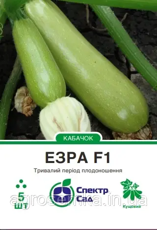 Кабачок Езра F1, 5 шт Спектр сад / Hazera