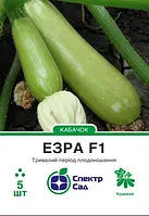 Кабачок Езра F1, 5 шт Спектр сад / Hazera