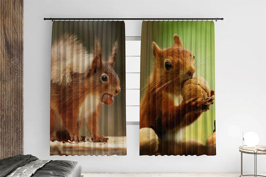 Штори з принтом «Мила білка з горішком. Ліс»