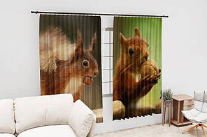 Штори з принтом «Мила білка з горішком. Ліс», фото 2