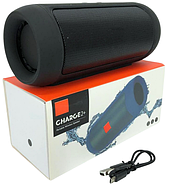 Bluetooth колонка потужністю 15Вт із захистом від бризок E2+ Чорна, фото 9