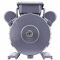 Електричний двигун Powermat PM-JSE-3000T, фото 6