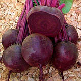 Насіння буряка Кестрел F1 2 г, фото 2