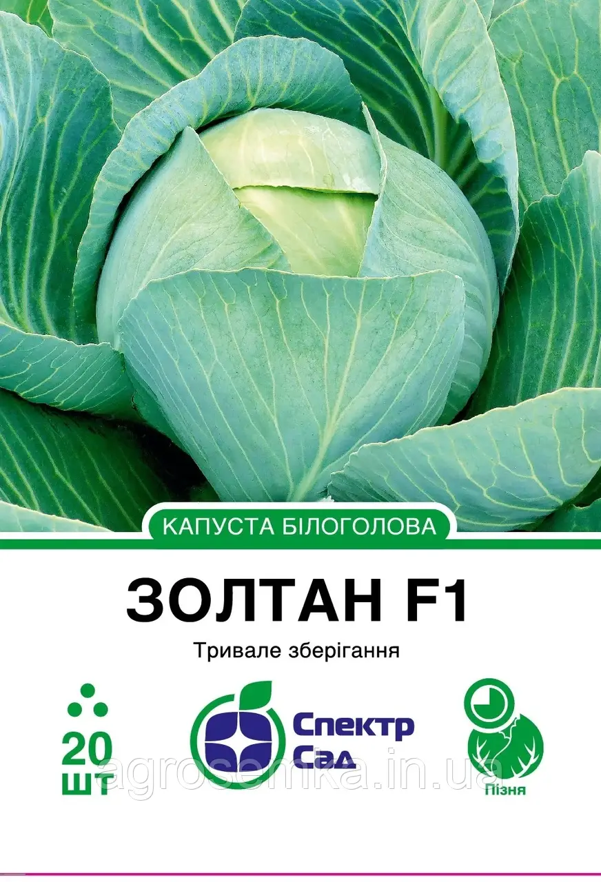 Білоголова капуста Золтан F1, 20 шт Спектр сад / Hazera