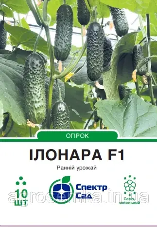Огірок Ілонара F1, 10 шт Спектр сад / Rijk Zwaan