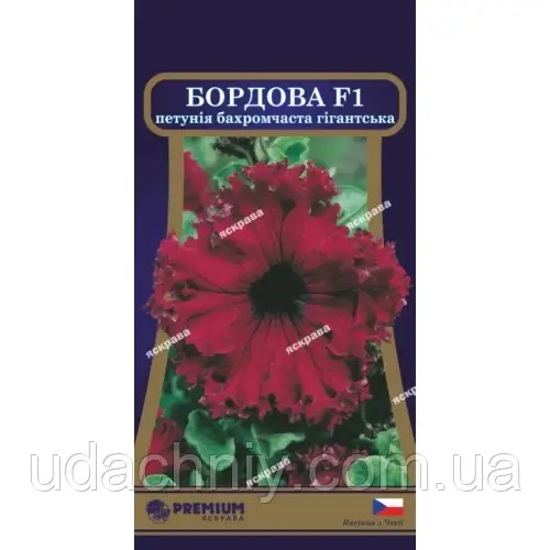 Петунія бахромчаста Бордова F1 10 нас в оболонці