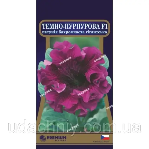 Петунія бахромчаста Темно-пурпурова F1 10 нас в оболонці