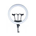 Студійне світло Кільцева світлодіодна Led Лампа (MJ56) 56 см (6 colors) із затискачами для телефону