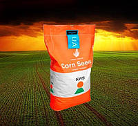 Насіння кукурудзи КВС 2370, ФАО 280, KWS