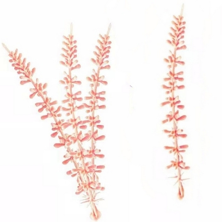 Домішка штучної лаванди караловий 10 см за 100 шт., фото 1