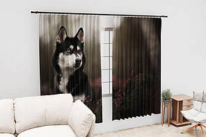 Штори з принтом «Хаскі у лісі», фото 2