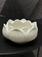 Кашпо з гіпсу Лотос для контейнерних свічок.