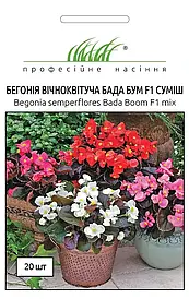 Бегонія Бада Бум F1 суміш 20шт (Проф.Нас)