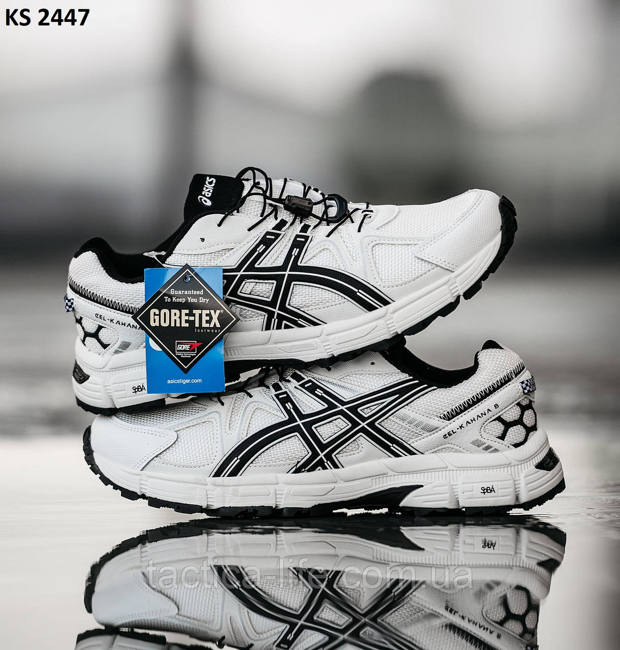 コア様ホワイトゴースト まとめ売り8株 40cm コア様ホワイトゴースト まとめ売り8株 40cm コア様ホワイトゴースト