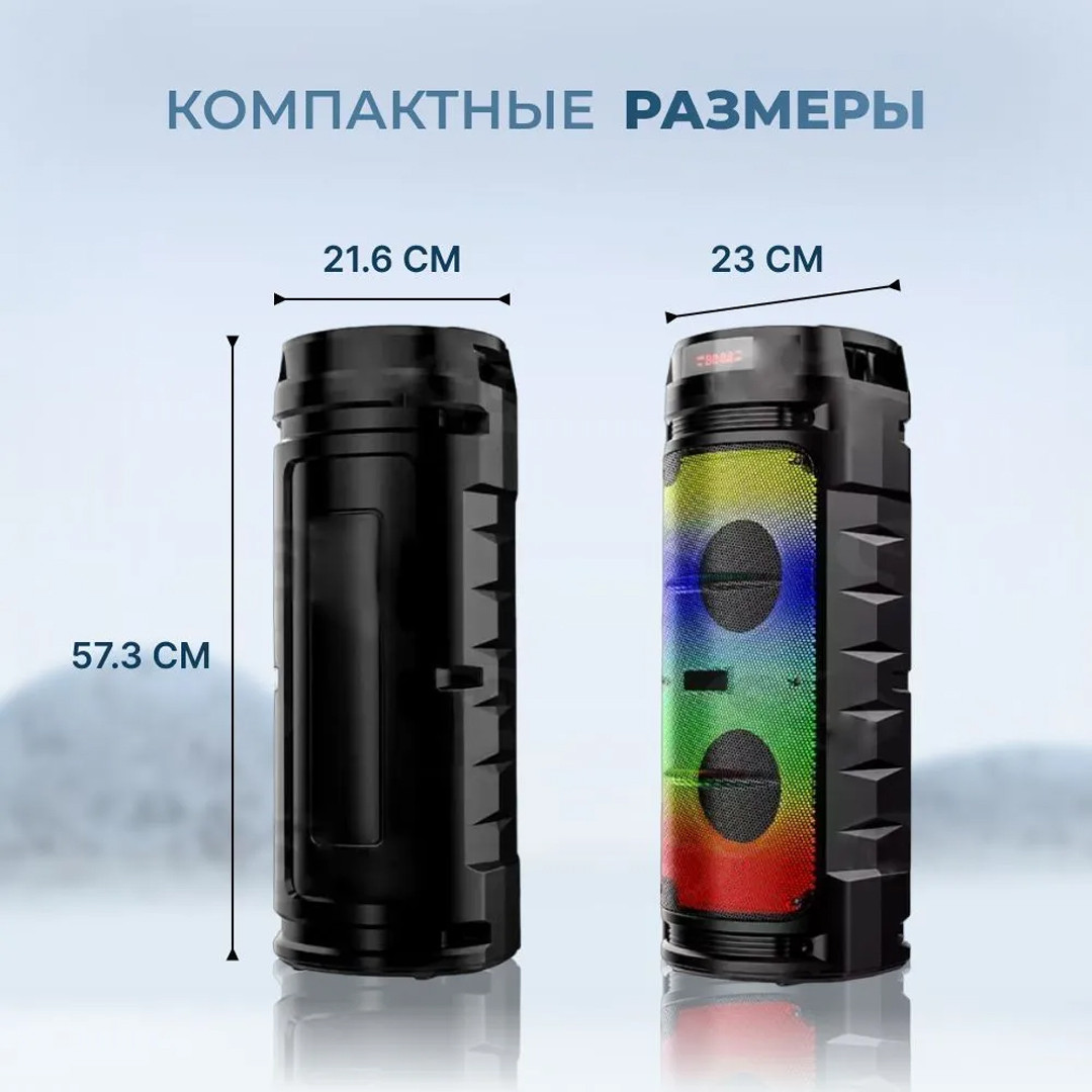 besprovodnaya_kolonka_zqs6210w_5.jpg